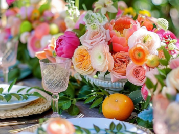 The Ultimate Bridal Shower Checklist for Northern Virginia Brides image